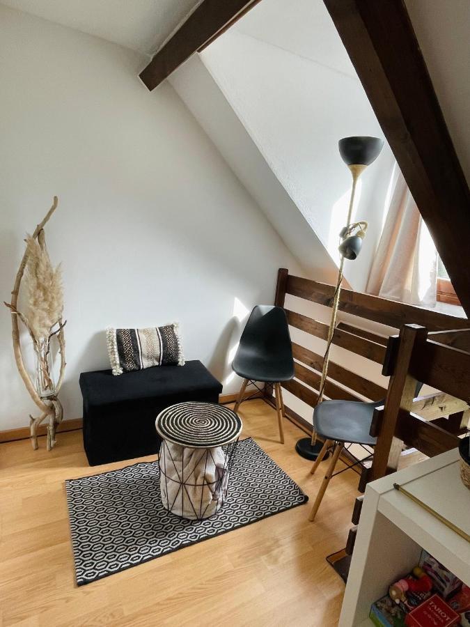 Duplex Du Pailhet, T3 Neuf, Vue Montagne, Parking, Navette Et 2 Velos A Disposition Gratuitement Bagnères-de-Luchon Exteriér fotografie