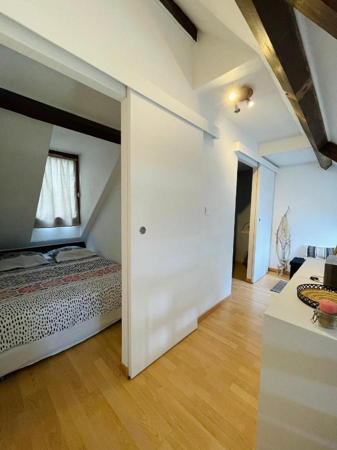 Duplex Du Pailhet, T3 Neuf, Vue Montagne, Parking, Navette Et 2 Velos A Disposition Gratuitement Bagnères-de-Luchon Exteriér fotografie